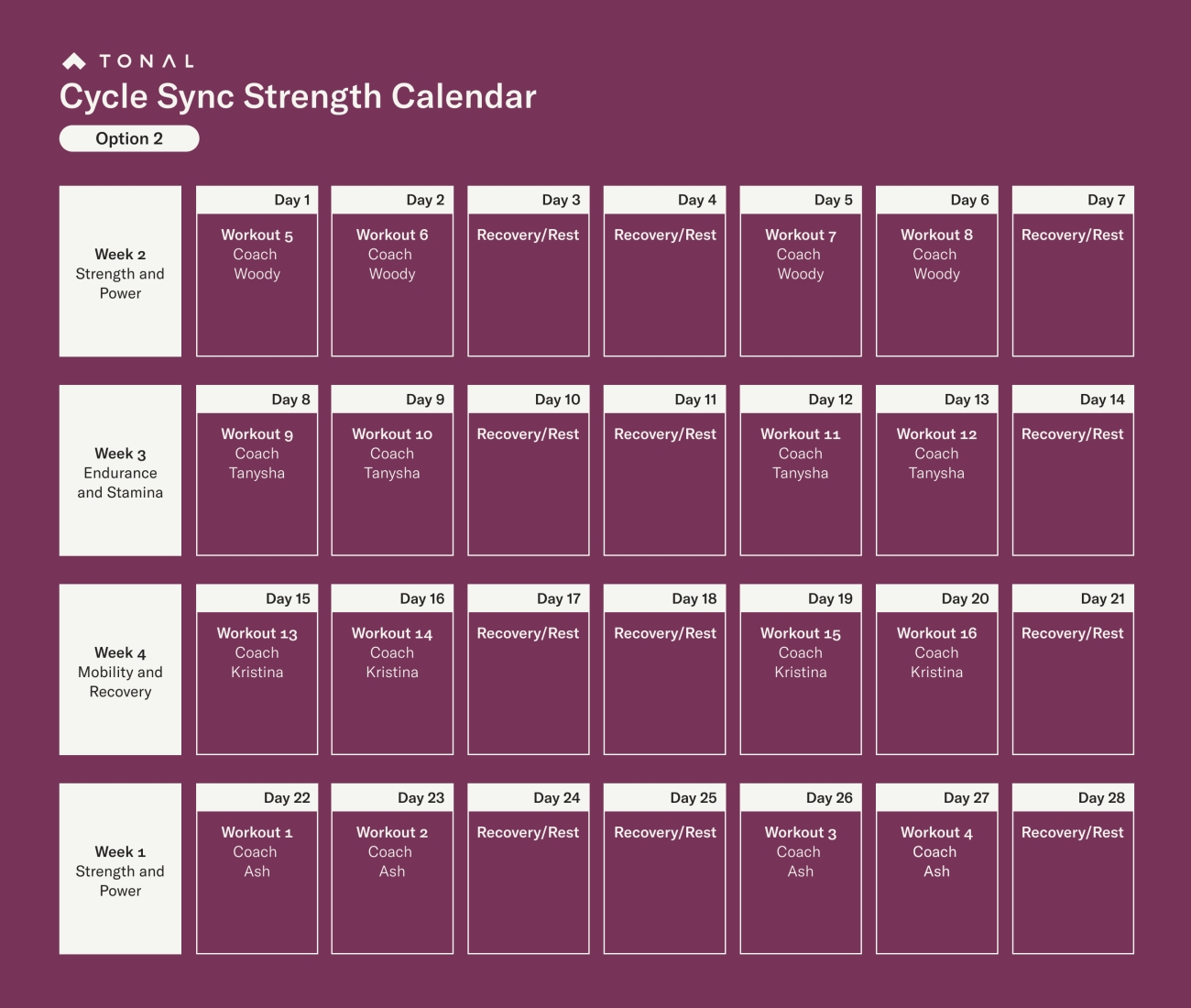 Cycle Sync Strength Calendar Option 2